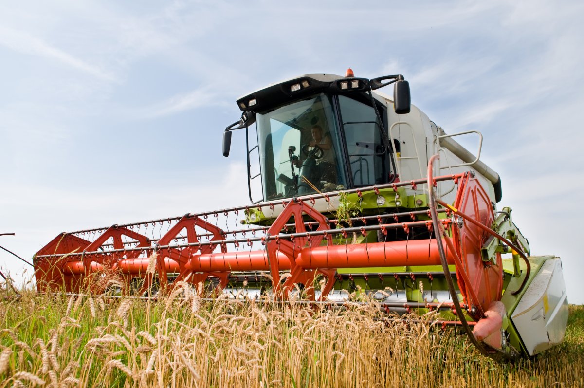 Quale futuro per l'agricoltura?